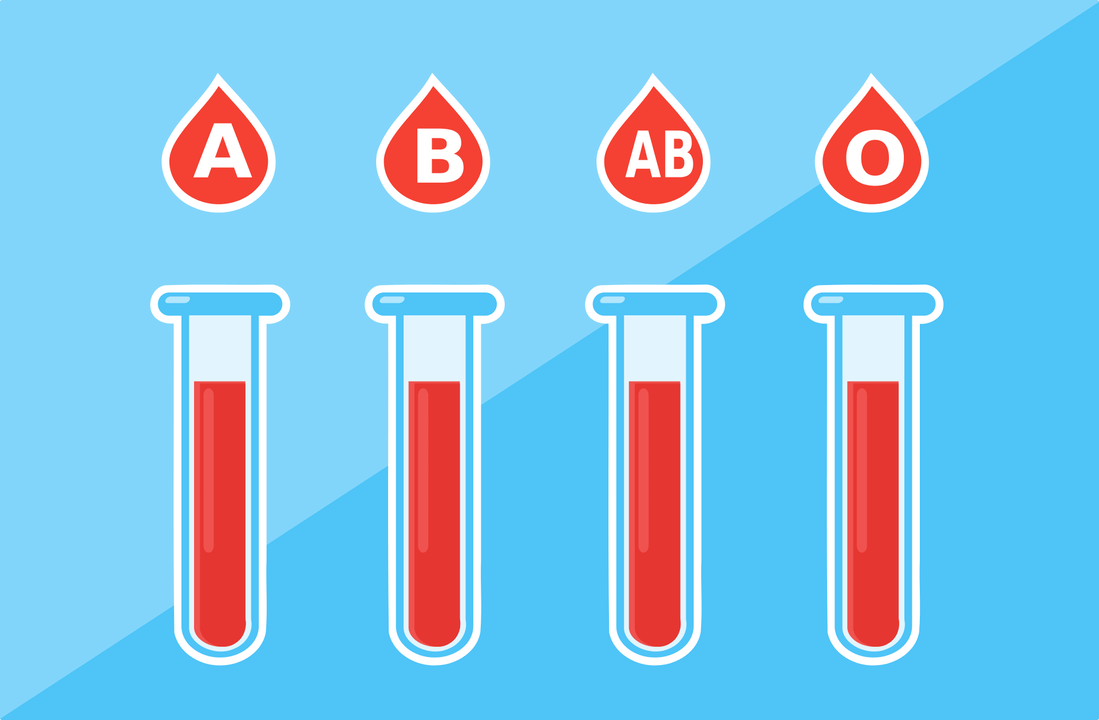 Der er 4 blodgrupper - A, B, AB, O